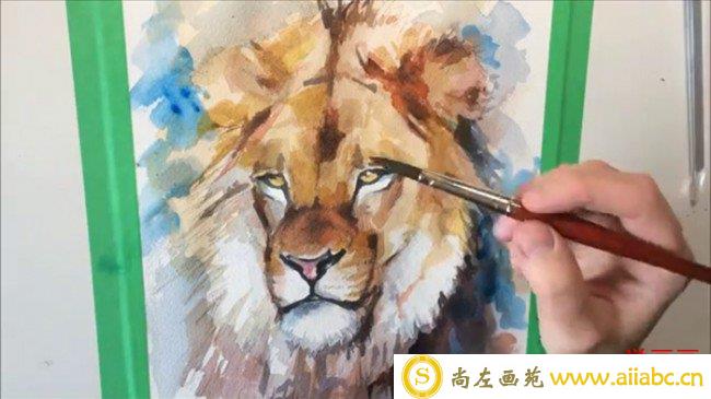 【视频】好看有威严的狮子水彩手绘视频教程 教你画狮子水彩画 头部重点_