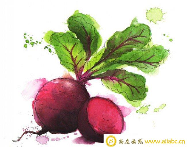 蔬果水彩画图片 常见蔬菜水果的水彩画手绘教程 蔬菜水果水彩画法_