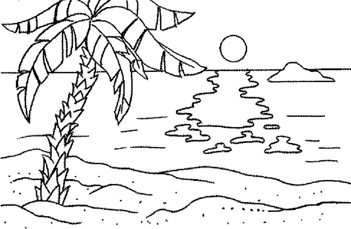 椰子树简笔画：家乡的椰子树