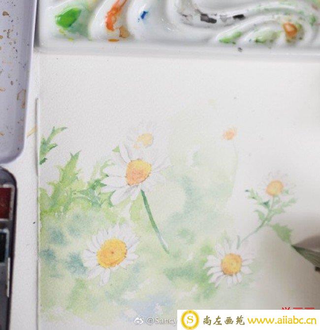 小雏菊水彩画图片教程 带上色步骤和展示_