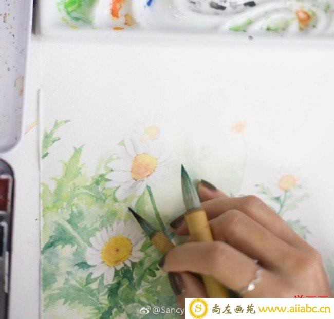 小雏菊水彩画图片教程 带上色步骤和展示_