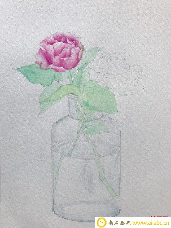 插在玻璃瓶里的玫瑰花水彩画图片 玻璃花瓶里的玫瑰花水彩手绘教程 上色步骤_