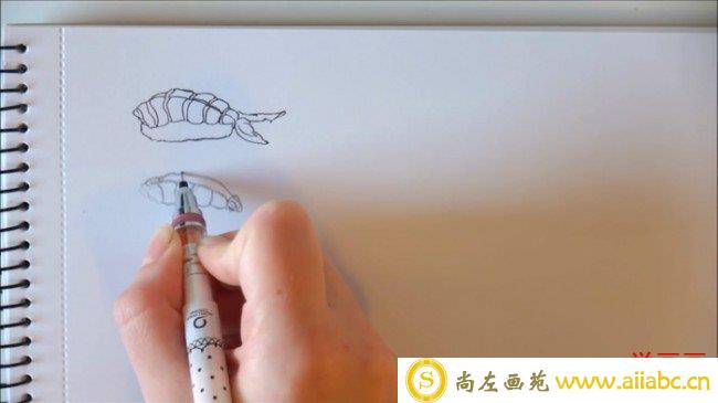 【视频】简单又可爱的寿司水彩手绘视频教程 寿司简笔画视频教程_