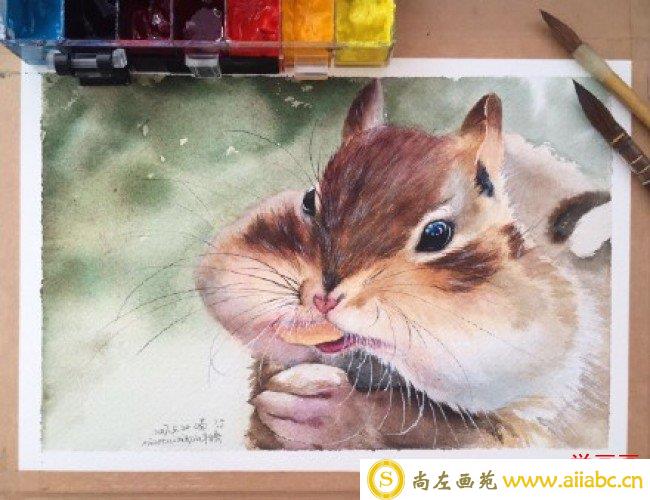 可爱贪吃的小松鼠水彩画图片 松鼠水彩手绘教程 松鼠的画法 怎么画_