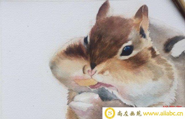 可爱贪吃的小松鼠水彩画图片 松鼠水彩手绘教程 松鼠的画法 怎么画_