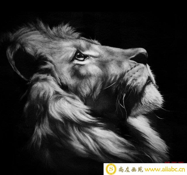 逼真精美的狮子头像素描图片 狮子手绘教程画法 孤独的王者_