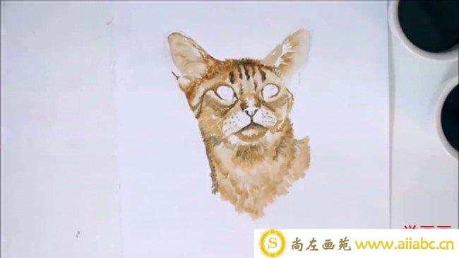 【多款水彩猫咪教程】各种姿势的猫咪水彩手绘教程 猫咪水彩的画法_