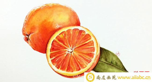 唯美多汁的水果橙子水彩手绘视频教程 夏季清新水彩绘_