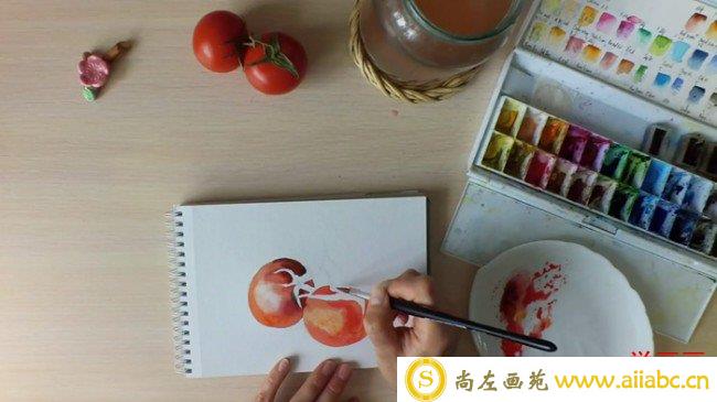 【简单的番茄用水彩怎么画】西红柿的水彩画法 番茄水彩教程