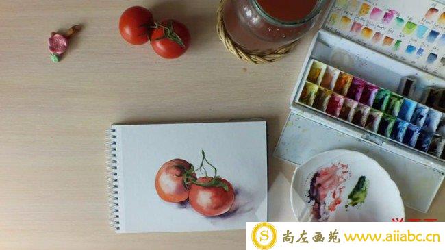 【简单的番茄用水彩怎么画】西红柿的水彩画法 番茄水彩教程