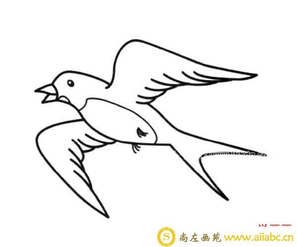 飞翔的燕子简笔画图片_燕子的简单画法