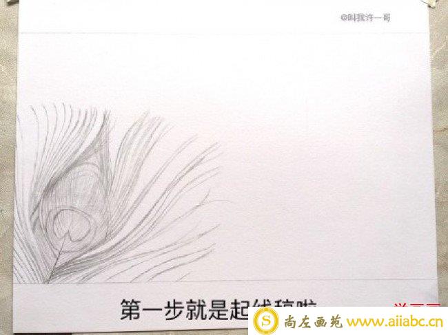 美丽的孔雀羽毛彩铅画手绘教程图片 孔雀羽毛的画法 孔雀羽怎么画_