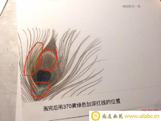 美丽的孔雀羽毛彩铅画手绘教程图片 孔雀羽毛的画法 孔雀羽怎么画_
