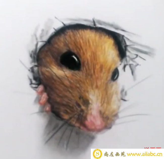 可爱小老鼠彩铅画 这个小老鼠突然破纸而出的教程_