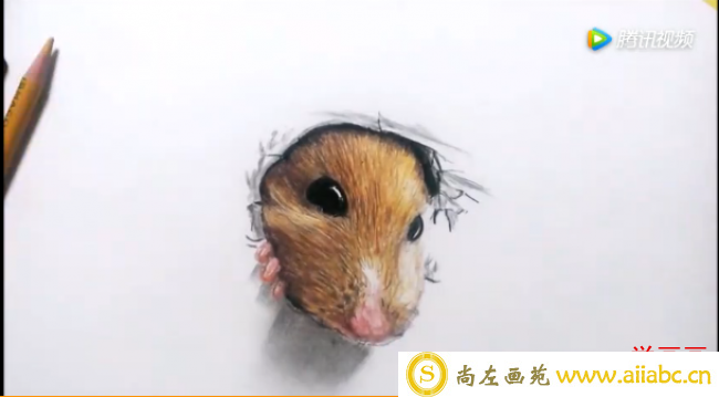可爱小老鼠彩铅画 这个小老鼠突然破纸而出的教程_