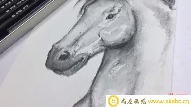 【视频】黑色水溶彩铅画帅气马头单色素描手绘视频教程 马的画法_