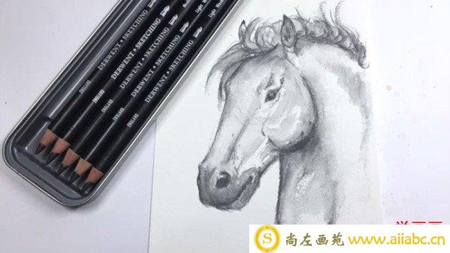【视频】黑色水溶彩铅画帅气马头单色素描手绘视频教程 马的画法_