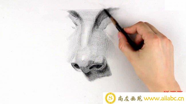 【视频】素描画人物的鼻子手绘视频教程 素描鼻子怎么画 鼻子的画法_