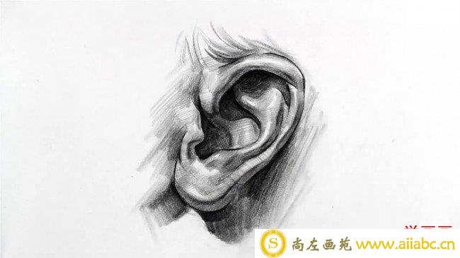 【视频】素描画人物的耳朵手绘视频教程 素描耳朵怎么画 耳朵的画法_