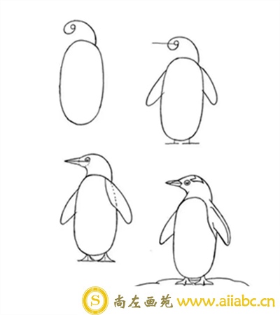企鹅的画法