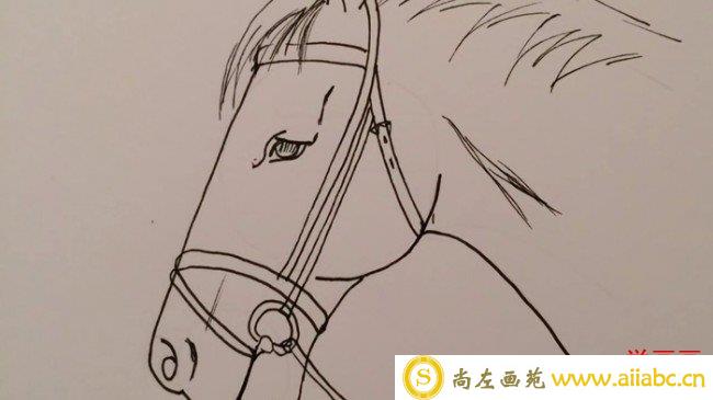 【视频】简单又实用的马头简笔画手绘视频教程 有技巧画的形很准哦_