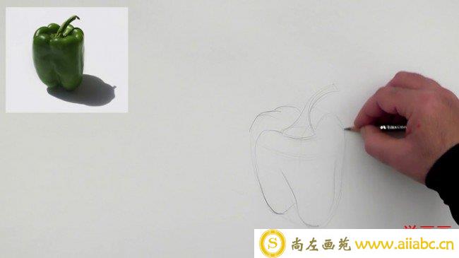 【视频】蔬菜青椒素描打形起形素描手绘视频教程 辣椒勾形素描教程_