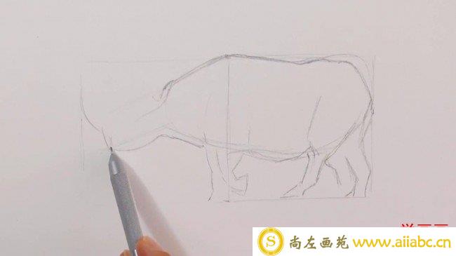 【视频】单色铅笔素描画一直犀牛手绘视频教程 犀牛的素描画教程图片_