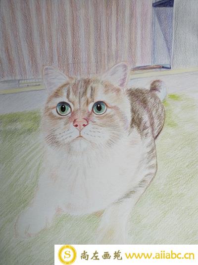 简单的彩铅画猫咪手绘教程