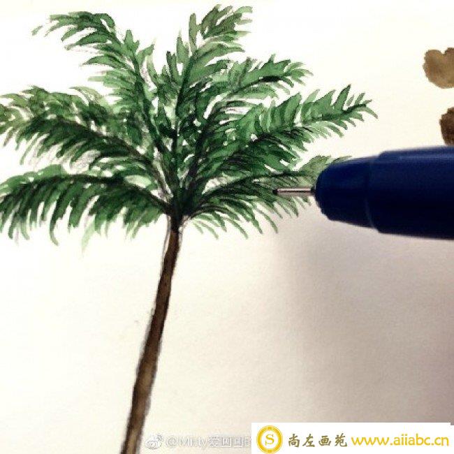 椰子树水彩画教程图片 上色过程步骤演示 椰子树水彩画法_
