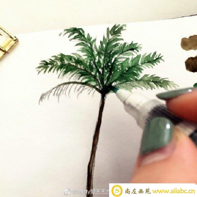 椰子树水彩画教程图片 上色过程步骤演示 椰子树水彩画法_
