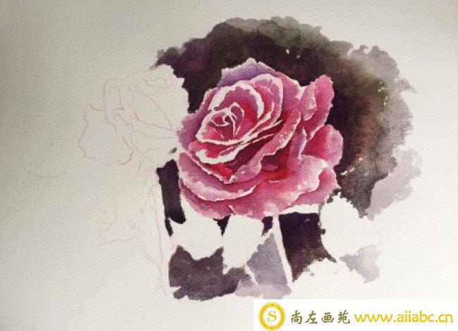 玫瑰花水彩画手绘教程图片 玫瑰花水彩花卉怎么画 玫瑰花水彩的画法_