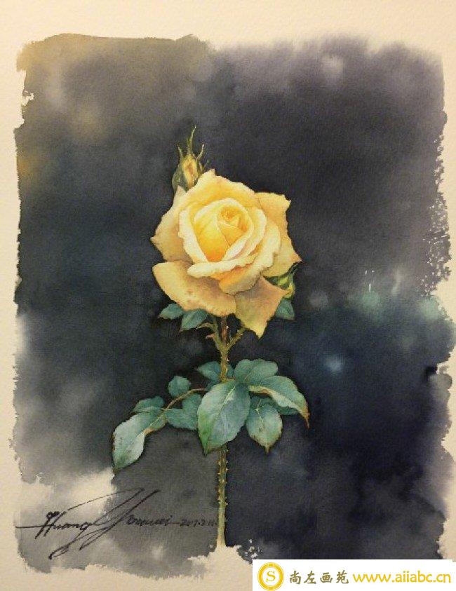 精湛的玫瑰画水彩画图片 黄有维作品_