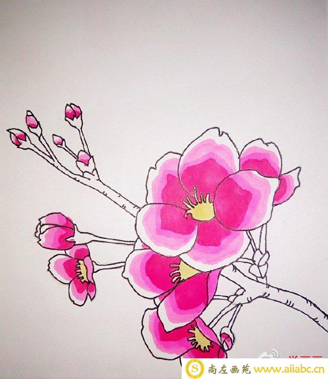 桃花简笔画教程图片 水彩上色桃花的画法 好看的桃花怎么画_
