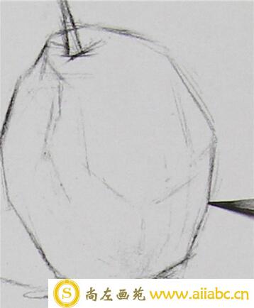 素描梨子的画法详解