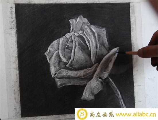 玫瑰花怎么画？素描玫瑰花的方法