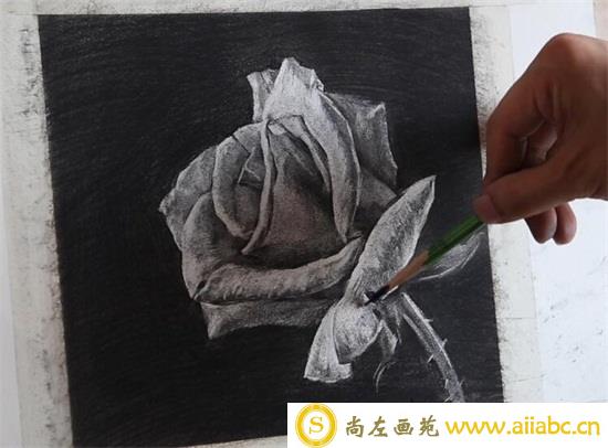 玫瑰花怎么画？素描玫瑰花的方法