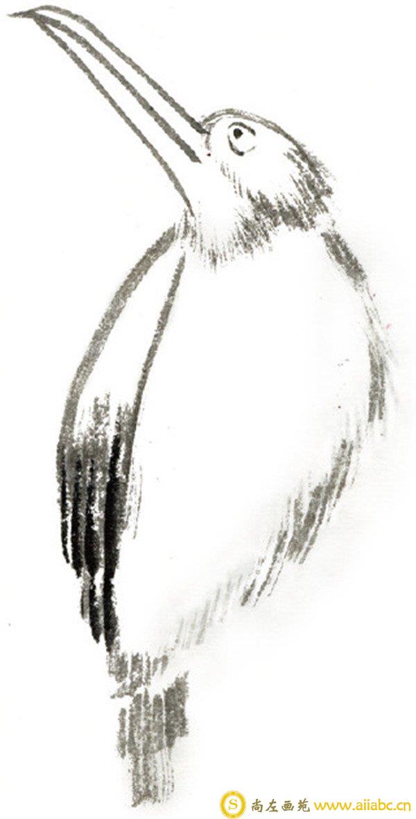 水墨翠鸟绘画轮廓