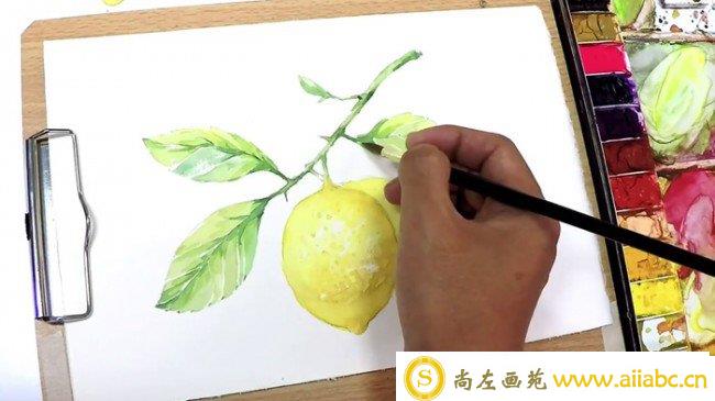 【视频】清新的柠檬水彩手绘视频教程 带枝叶唯美清新画法_