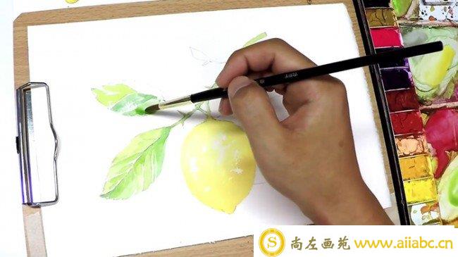 【视频】清新的柠檬水彩手绘视频教程 带枝叶唯美清新画法_
