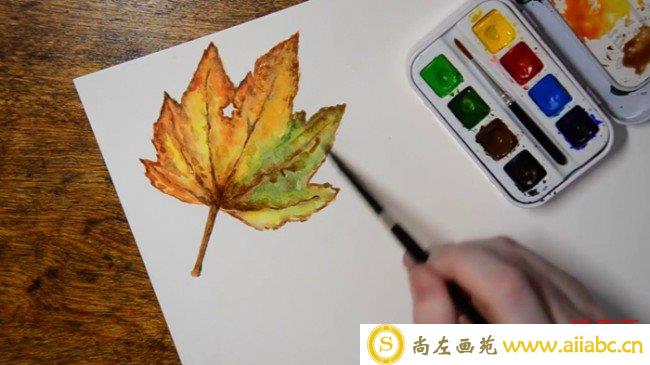 【水彩枫叶】简单唯美的枫叶水彩画法 用水彩怎么画树叶 树叶的画法_