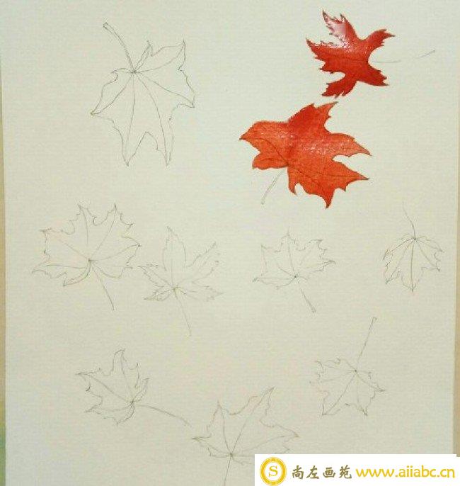 秋叶水彩画图片 秋天树叶水彩画手绘教程 枫叶落叶水彩画怎么画 画法_
