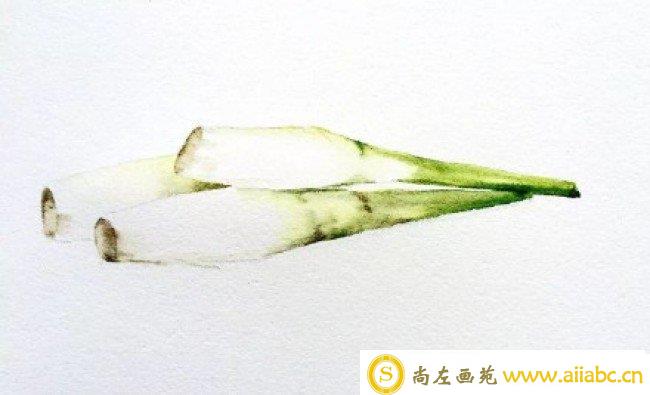 蔬菜茭白水彩画图片 茭白水彩怎么画 茭白的画法 茭白手绘教程_