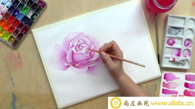 【视频】好看的玫瑰花水彩画手绘视频教程 演示玫瑰花水彩画过程_