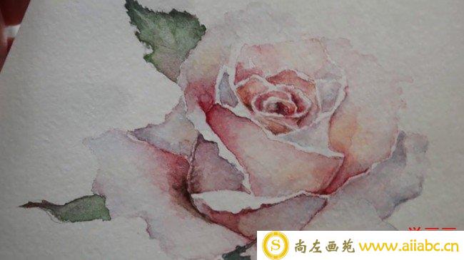 【视频】简单而写意的玫瑰花水彩画手绘视频 教你简单画出水彩玫瑰花图片_
