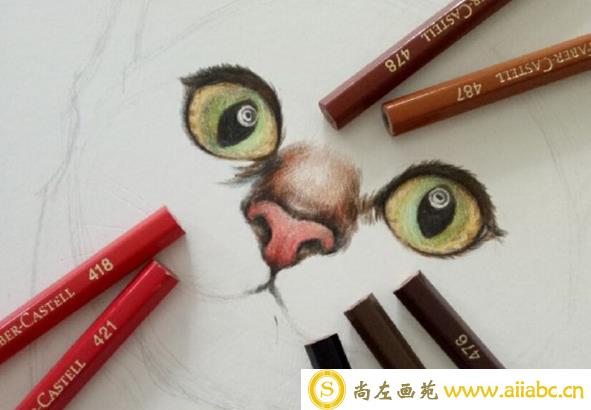 彩铅画猫咪手绘教程