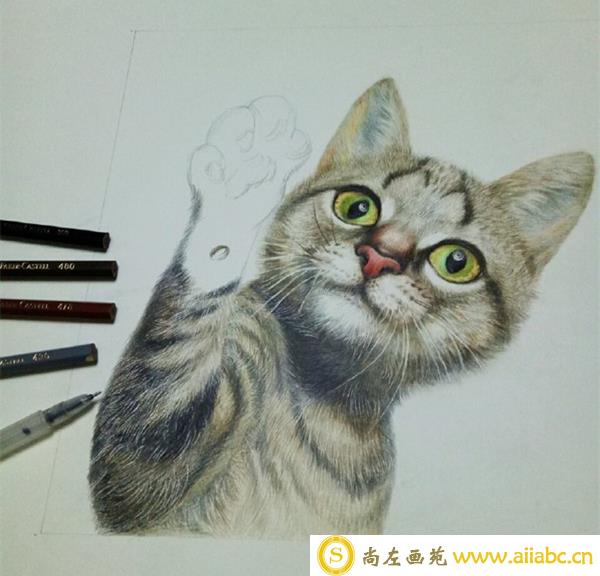 彩铅画猫咪手绘教程