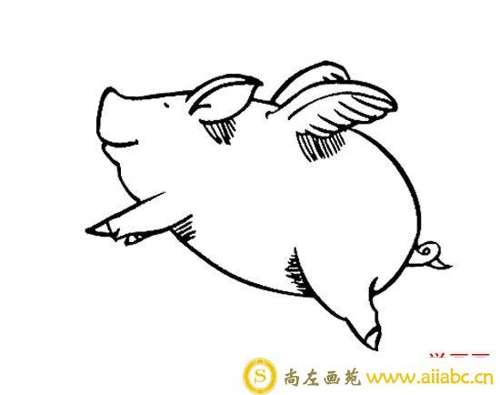 飞猪简笔画图片 带翅膀的猪卡通简笔画