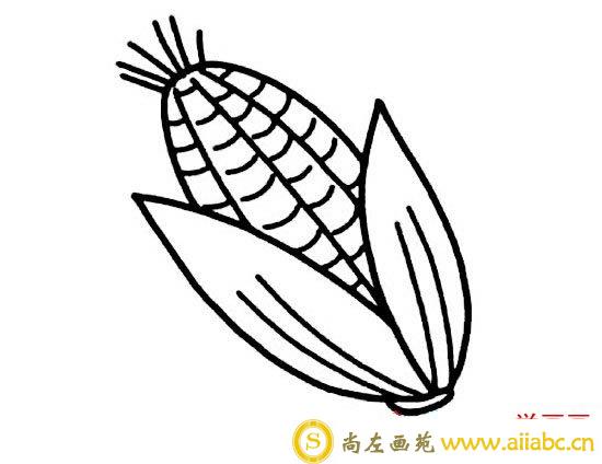 玉米简笔画图片