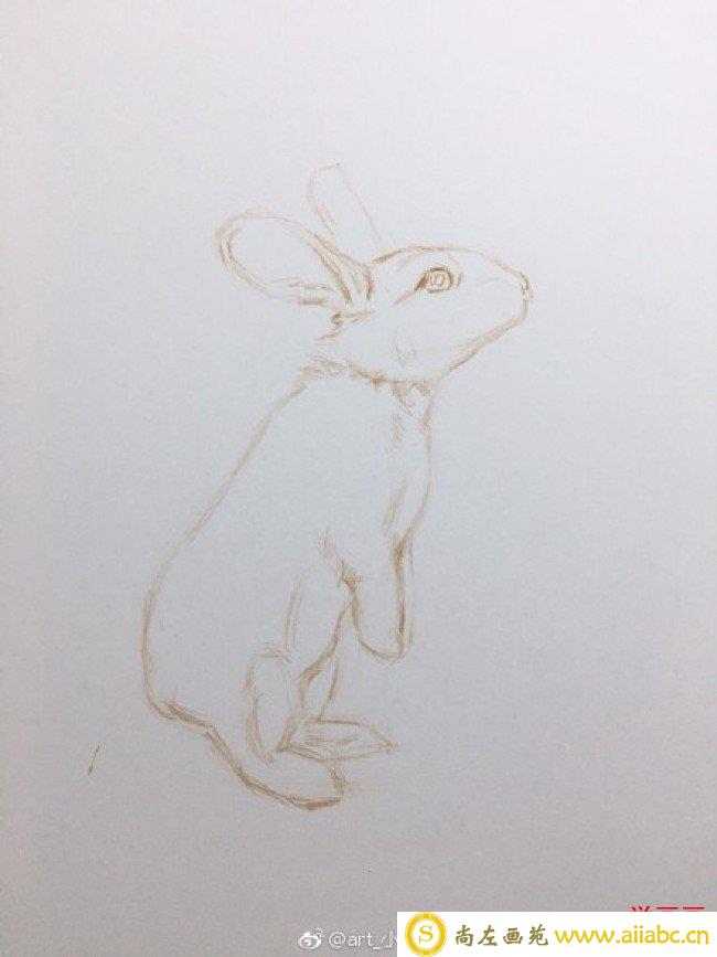 小兔子彩铅画图片 兔子彩铅手绘教程 兔子怎么画 兔子彩铅的画法_