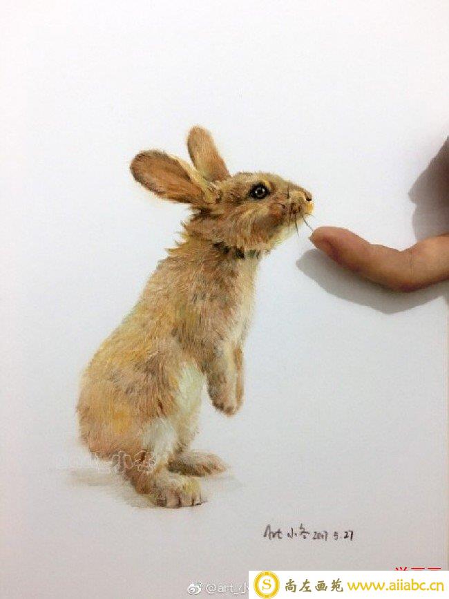 小兔子彩铅画图片 兔子彩铅手绘教程 兔子怎么画 兔子彩铅的画法_
